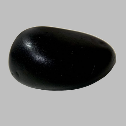 حجر الشاليجرام الطبيعي