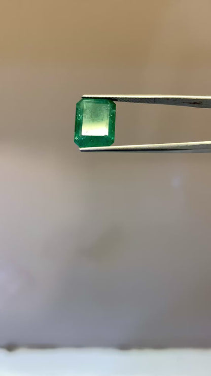 Natural Emerald - 7.88 Carat/8.75 Ratti