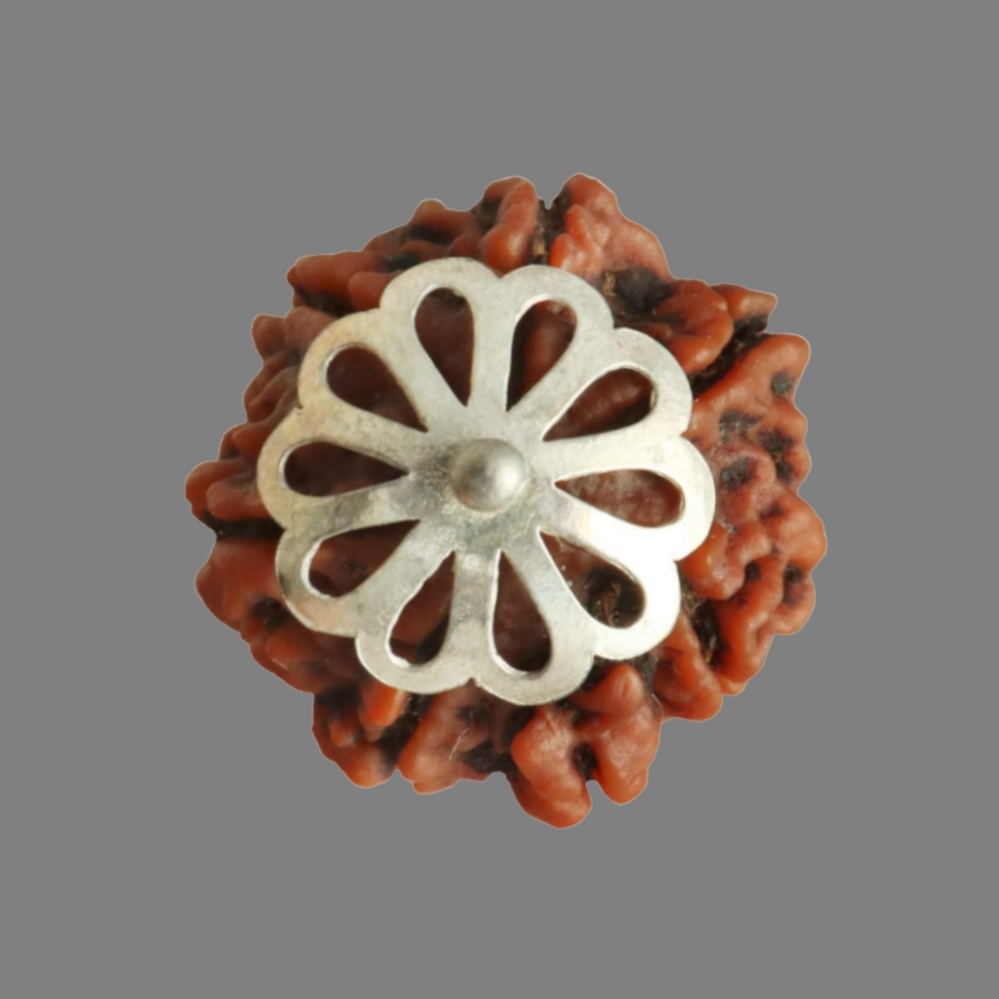 Rudraksha Silver Pendant - 7 Face/Mukhi